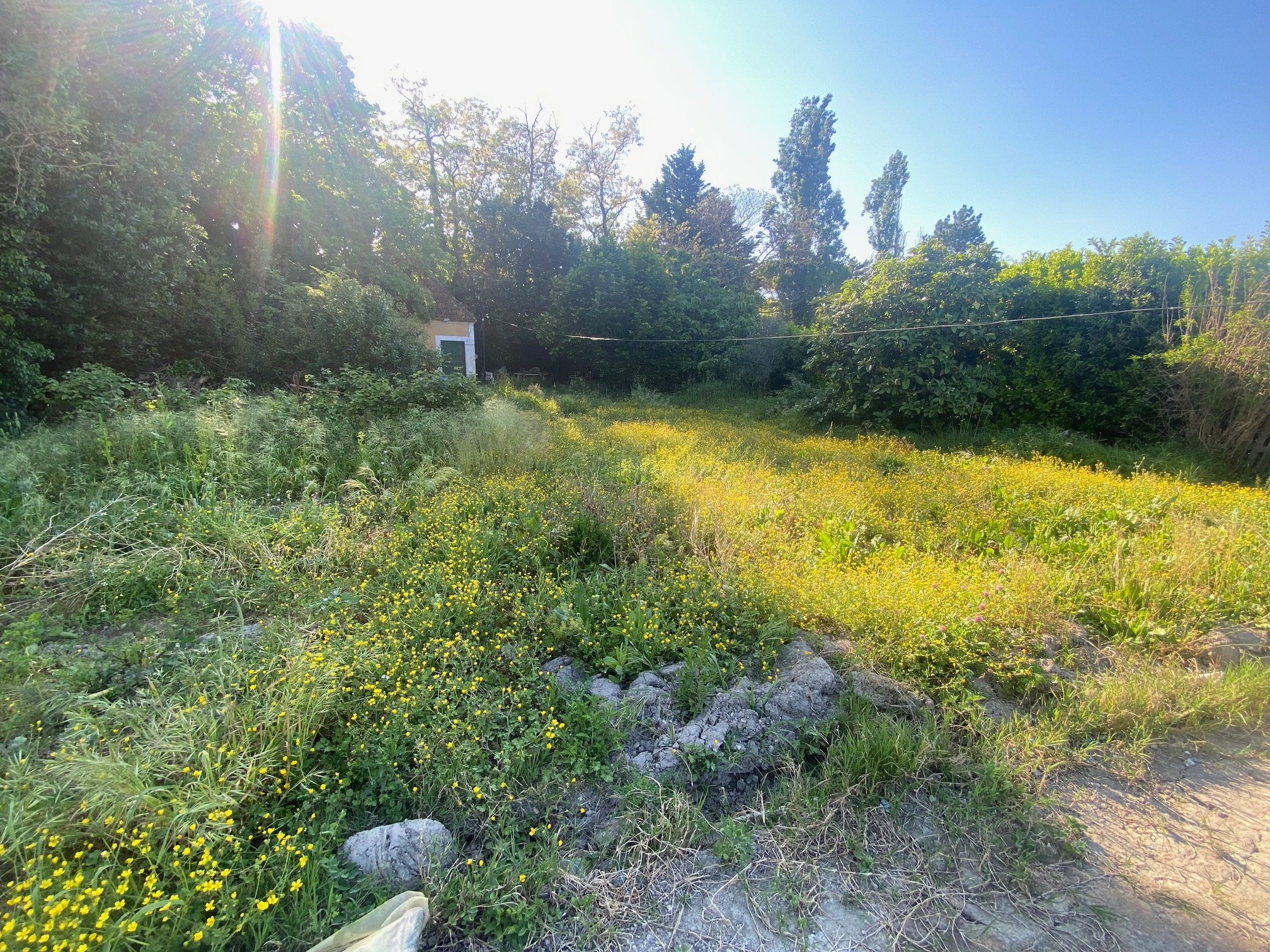Grand terrain à bâtir de 1348m2 au coeur du village